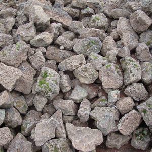 Meet your Posher, Bob